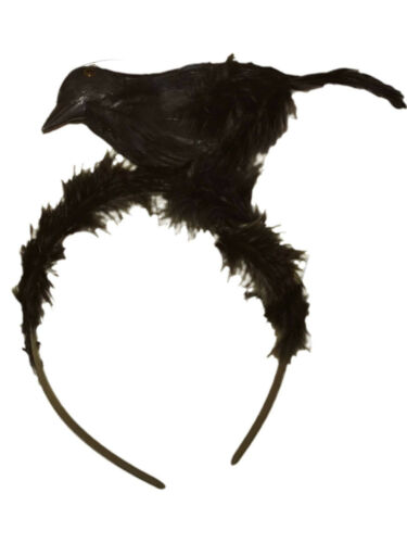 Detail Schwarzer Vogel Nomer 24