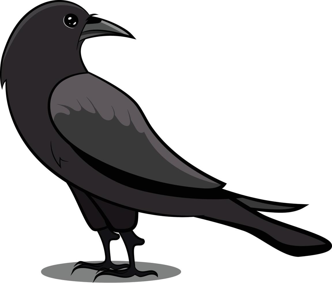 Detail Schwarzer Vogel Nomer 4