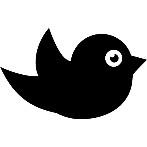 Detail Schwarzer Vogel Nomer 5
