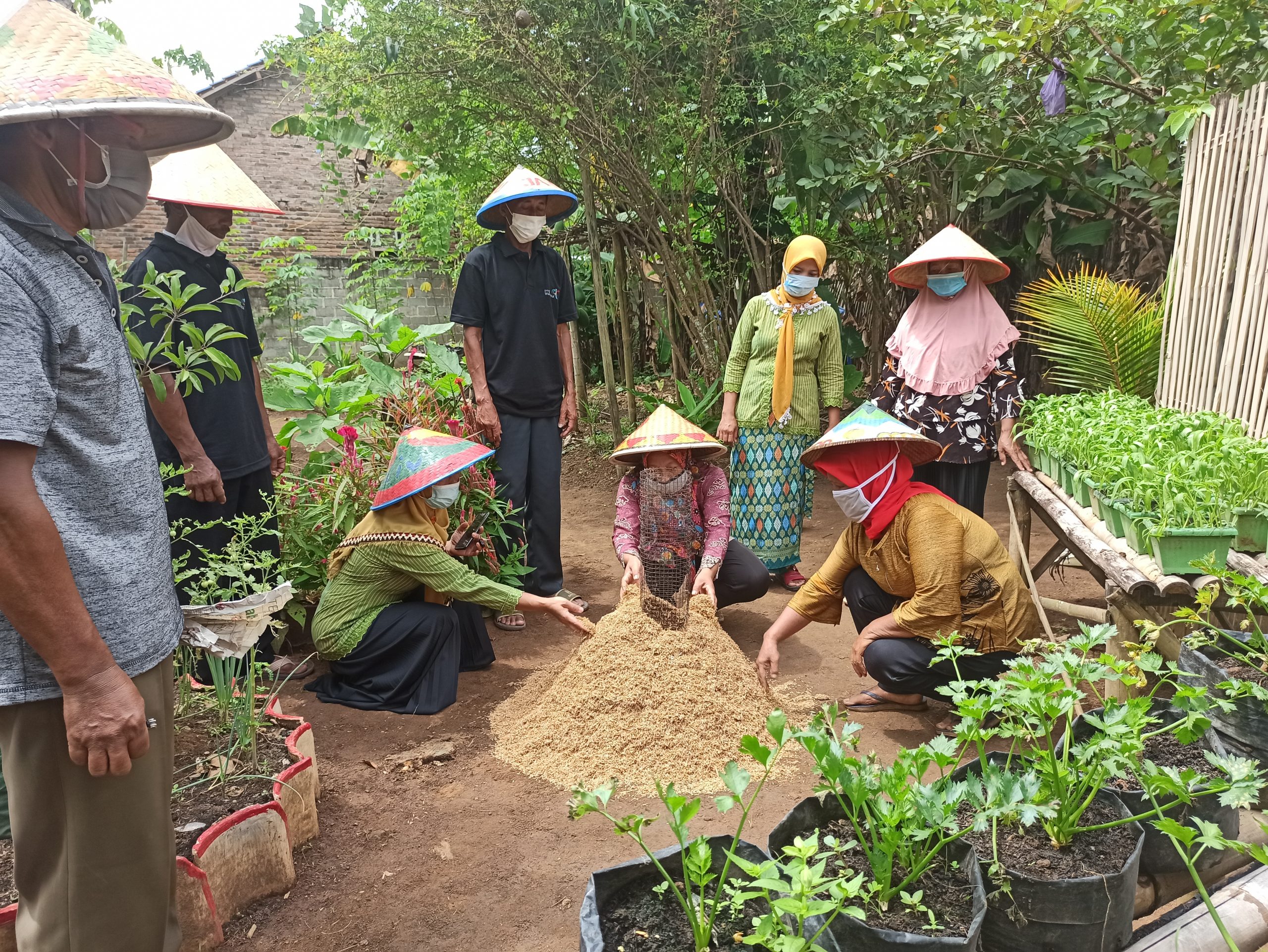 Detail Gambar Cerita Anak Berseri Tentang Bertani Nomer 7