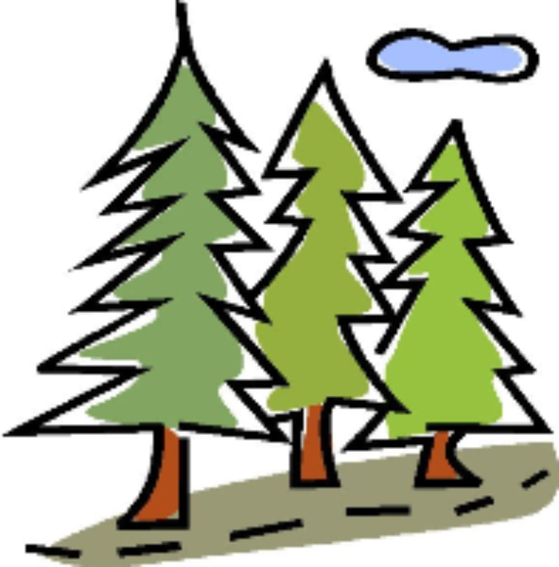 Detail Regen Im Wald Nomer 9