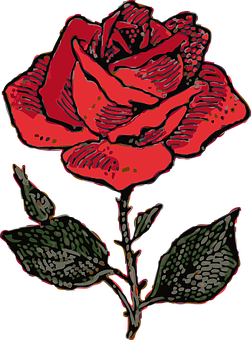 Detail Rose Stilisiert Nomer 9
