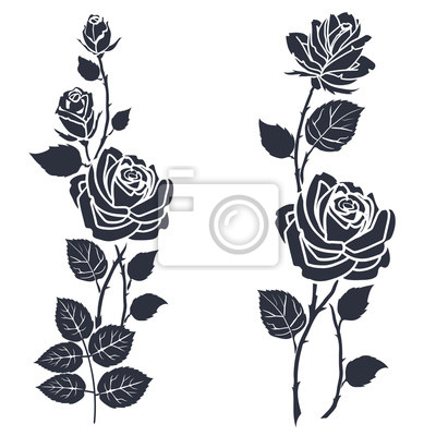 Detail Rose Stilisiert Nomer 11