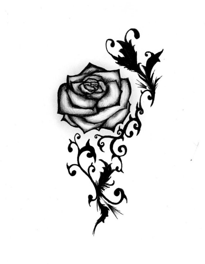 Detail Rose Stilisiert Nomer 12