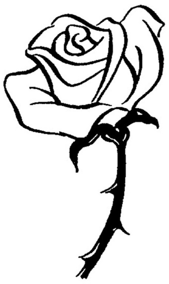 Detail Rose Stilisiert Nomer 14