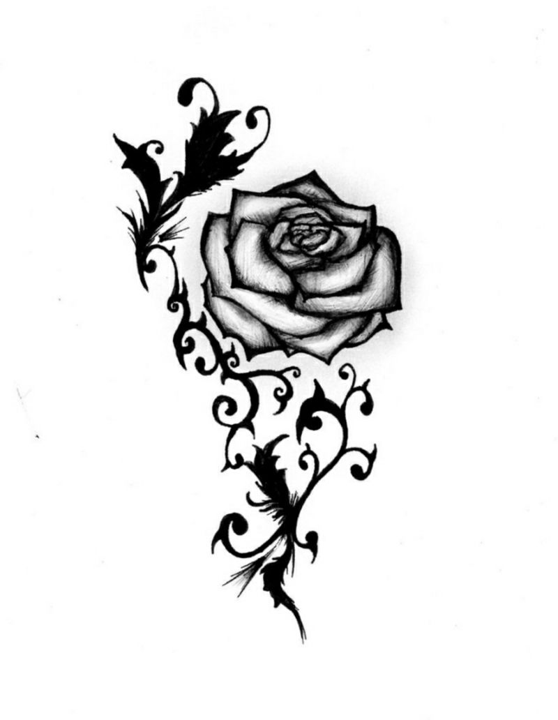 Detail Rose Stilisiert Nomer 15