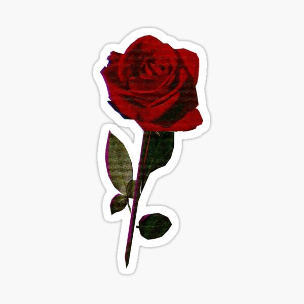 Detail Rose Stilisiert Nomer 23