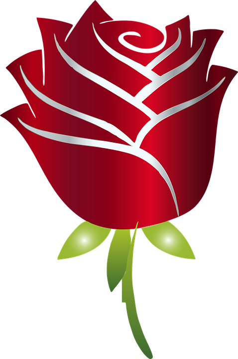 Detail Rose Stilisiert Nomer 2