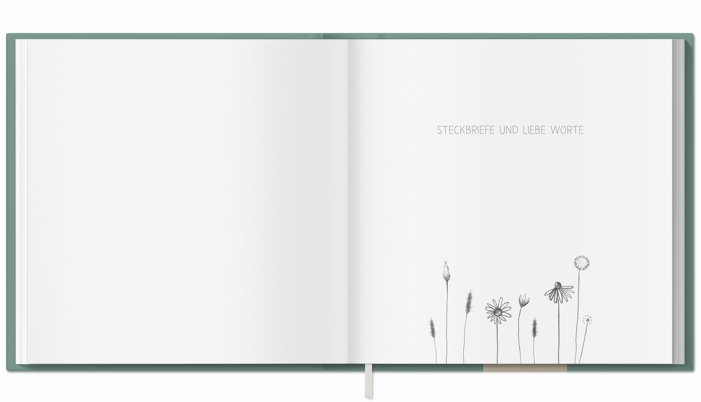 Detail Steckbrief Erwachsene Nomer 7