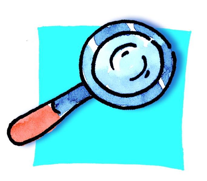 Detail Steckbrief Erwachsene Nomer 2