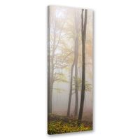 Detail Wald Im Gegenlicht Nomer 8