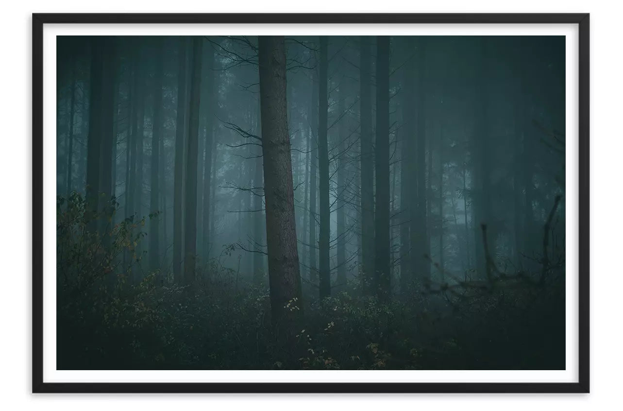 Detail Wald Im Gegenlicht Nomer 21