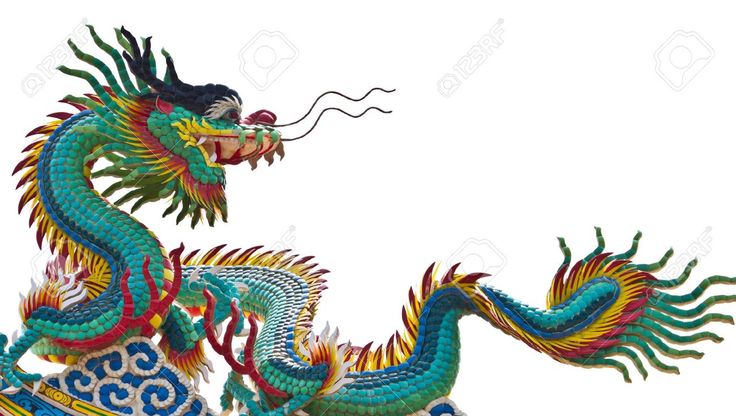 Detail Asiatischer Drache Nomer 5