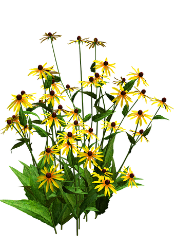 Detail Blumen Busch Nomer 10