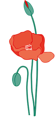 Detail Blumen Busch Nomer 5