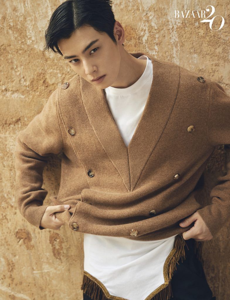 Detail Gambar Cha Eun Woo Nomer 18