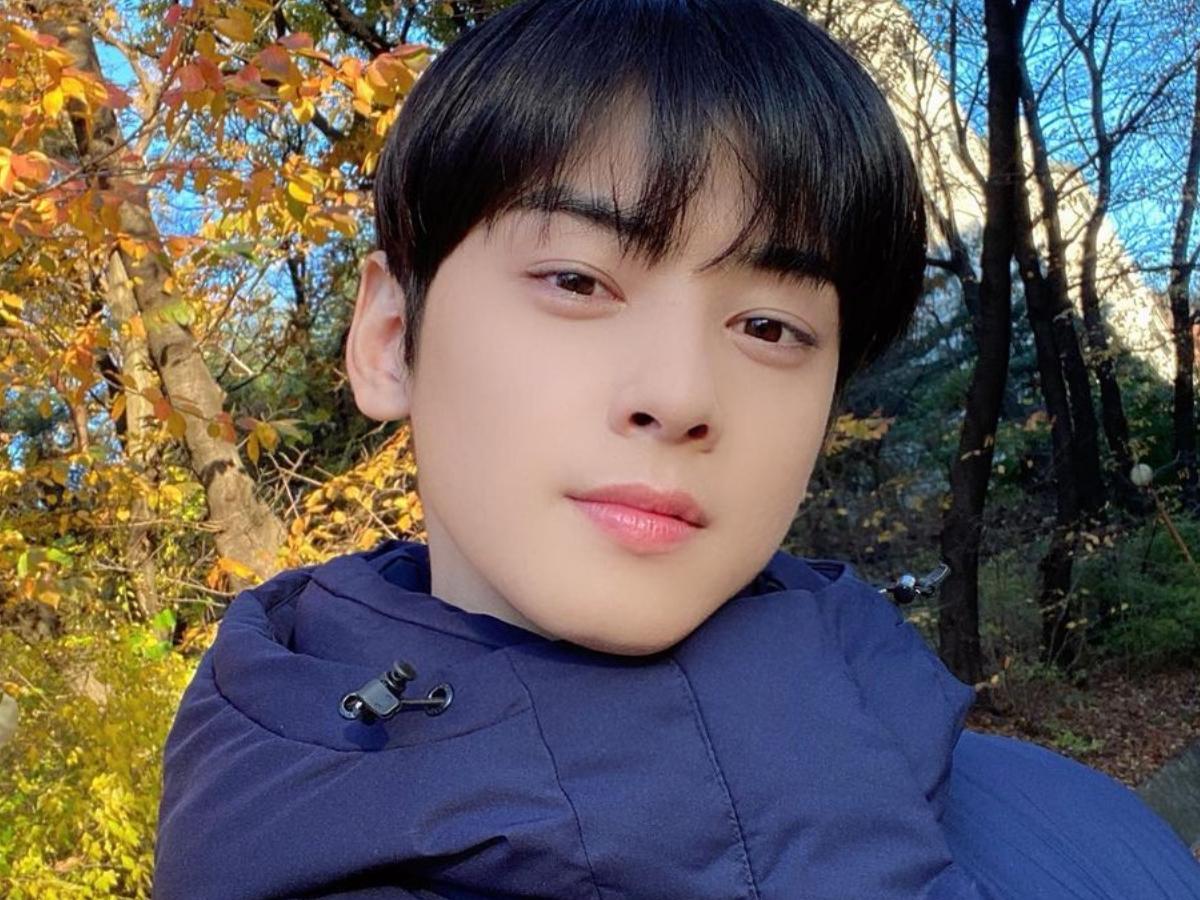 Detail Gambar Cha Eun Woo Nomer 24