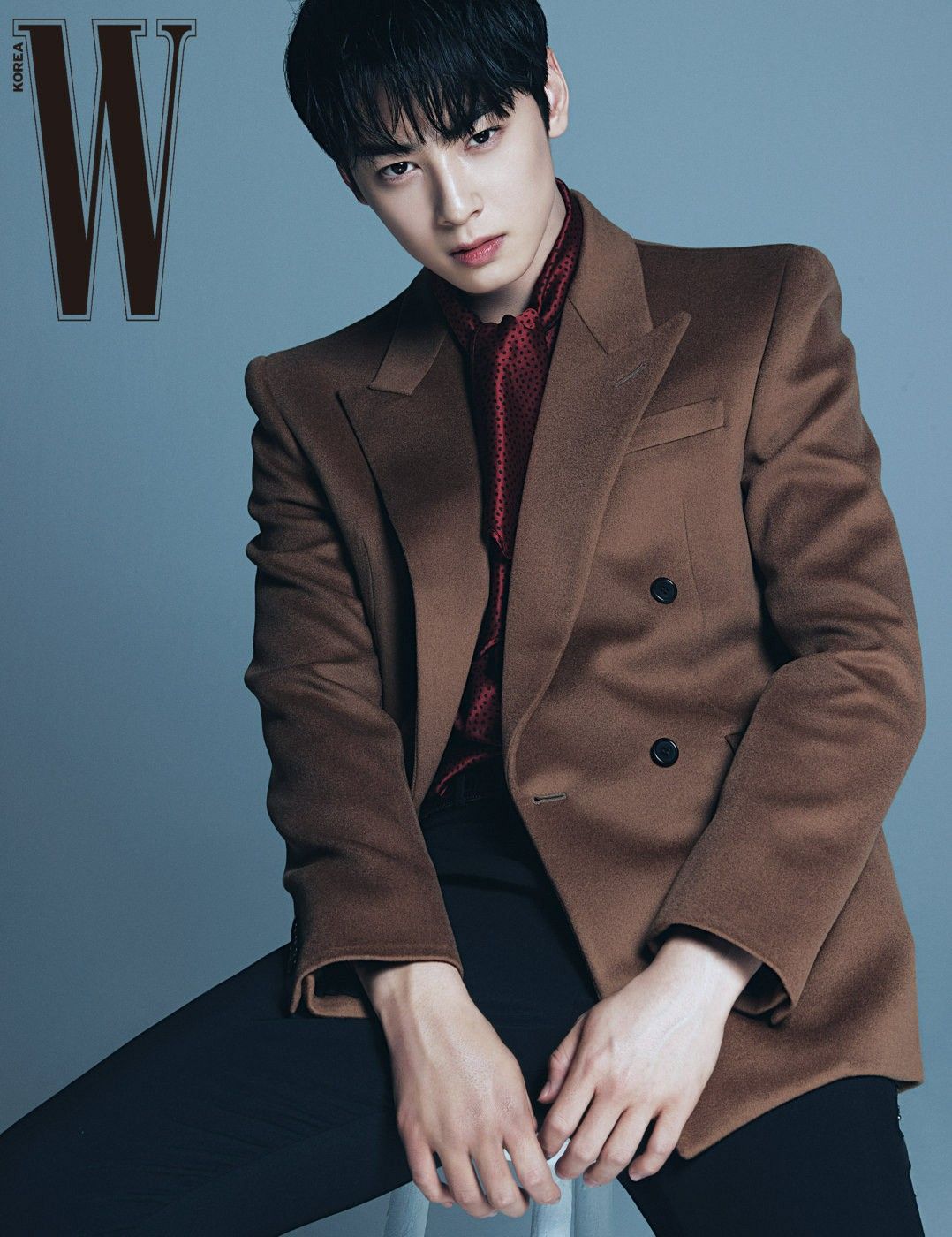 Detail Gambar Cha Eun Woo Nomer 39