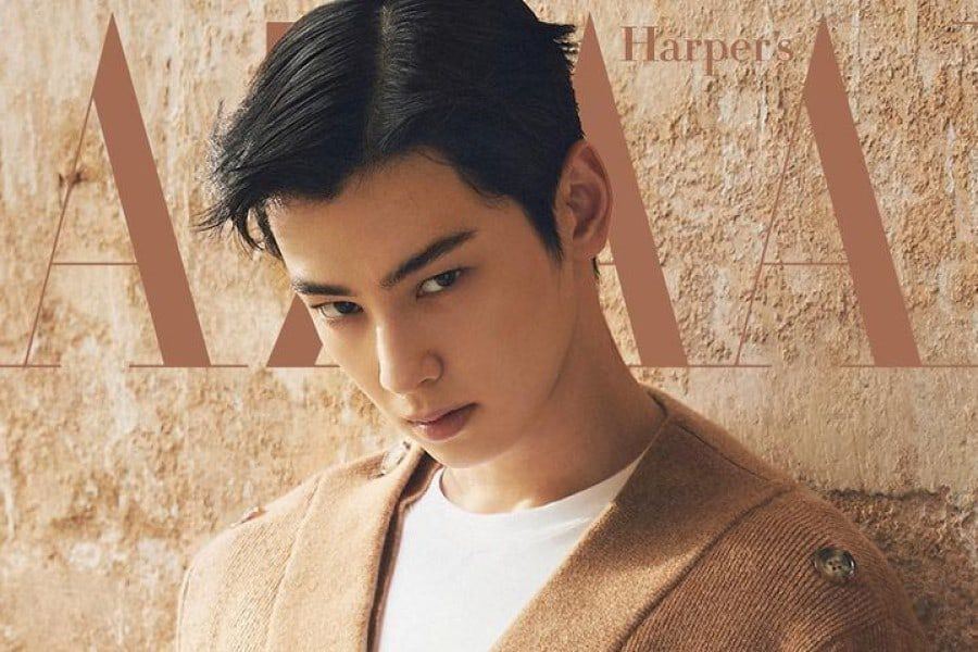 Detail Gambar Cha Eun Woo Nomer 41