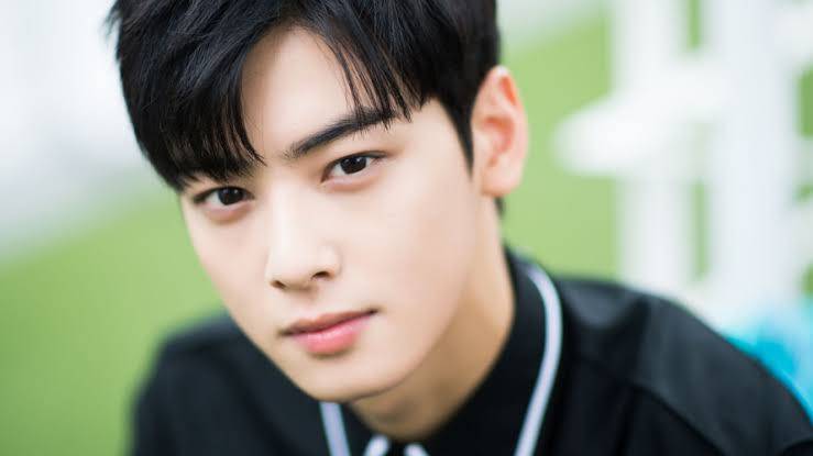 Detail Gambar Cha Eun Woo Nomer 44