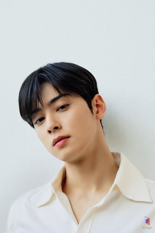 Detail Gambar Cha Eun Woo Nomer 7
