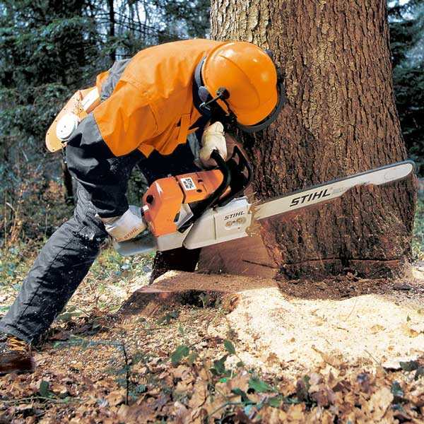 Detail Gambar Chainsaw Stihl Nomer 19