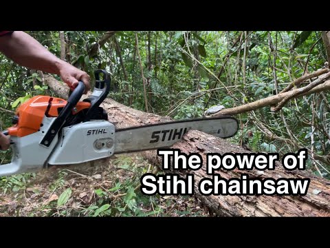 Detail Gambar Chainsaw Stihl Nomer 24