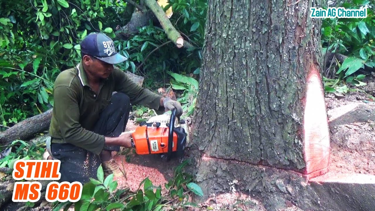 Detail Gambar Chainsaw Stihl Nomer 25