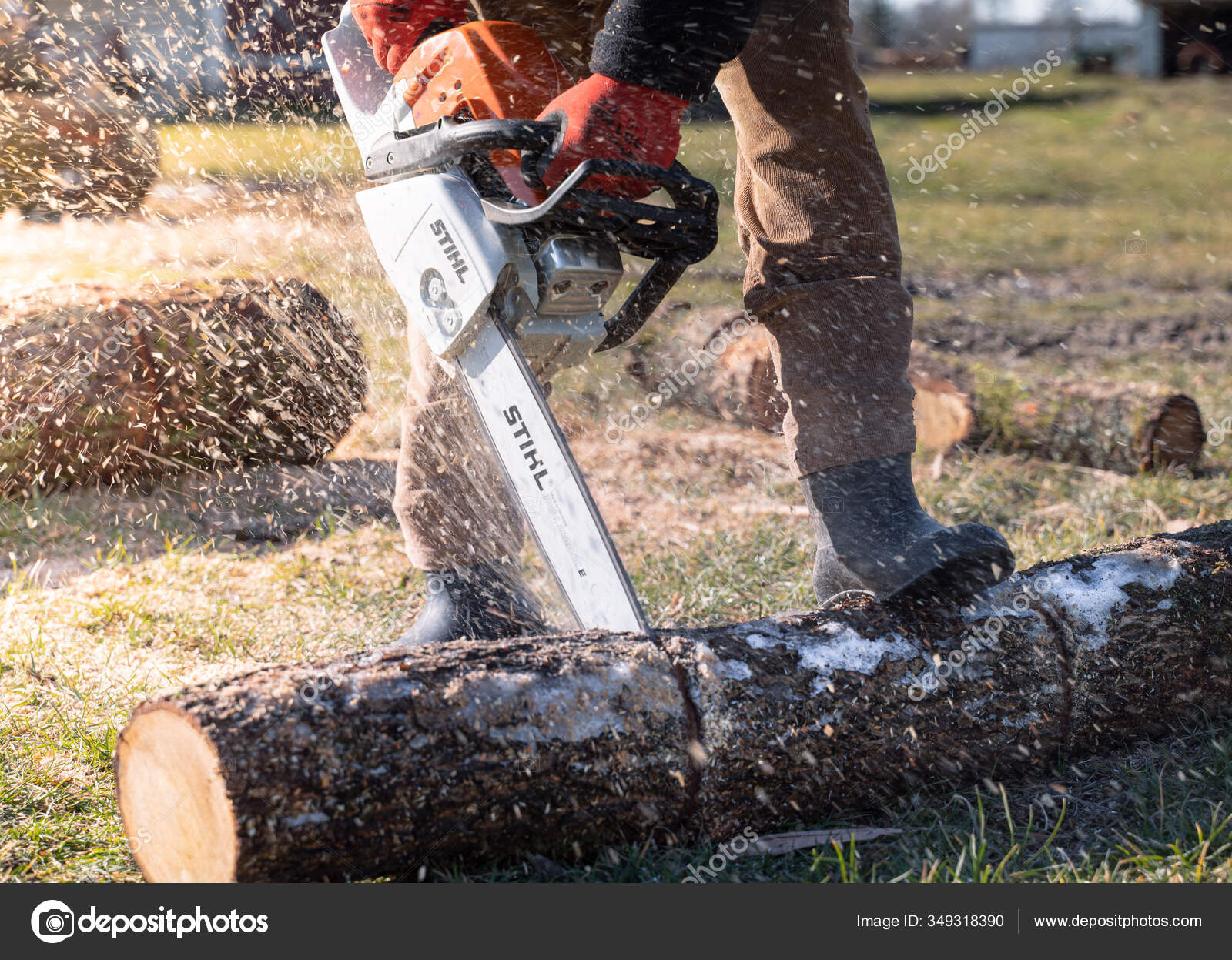 Detail Gambar Chainsaw Stihl Nomer 29