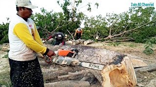 Detail Gambar Chainsaw Stihl Nomer 44