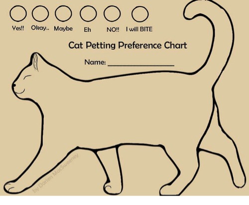 Detail Gambar Chart Cat Nomer 22