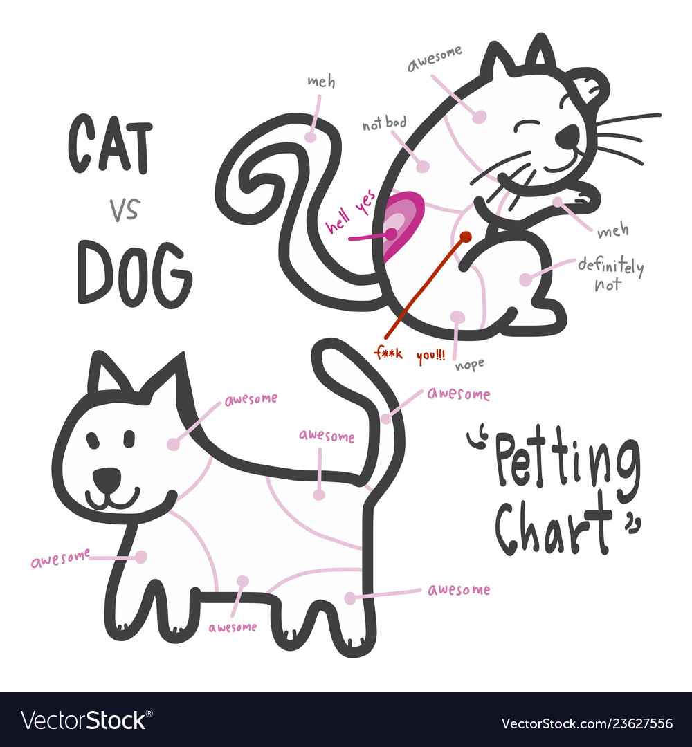 Detail Gambar Chart Cat Nomer 23