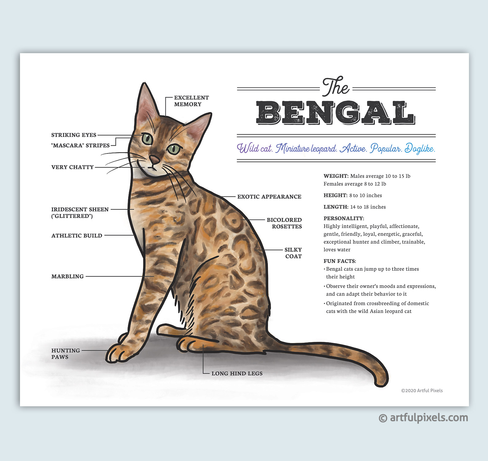 Detail Gambar Chart Cat Nomer 33