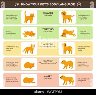 Detail Gambar Chart Cat Nomer 47