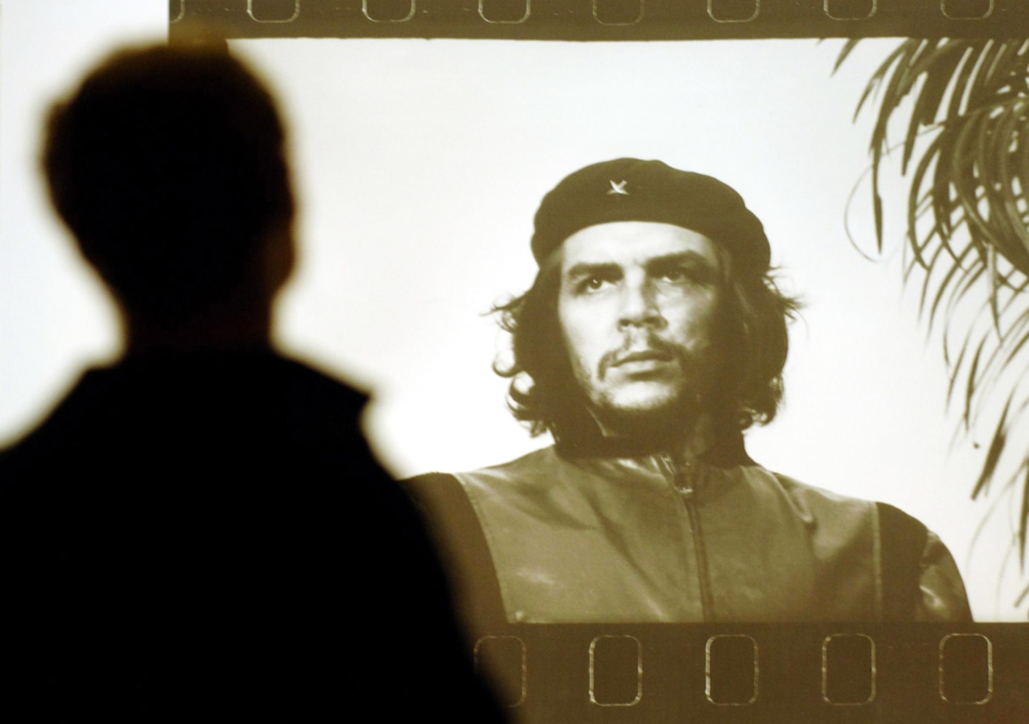 Detail Gambar Che Guevara Nomer 10