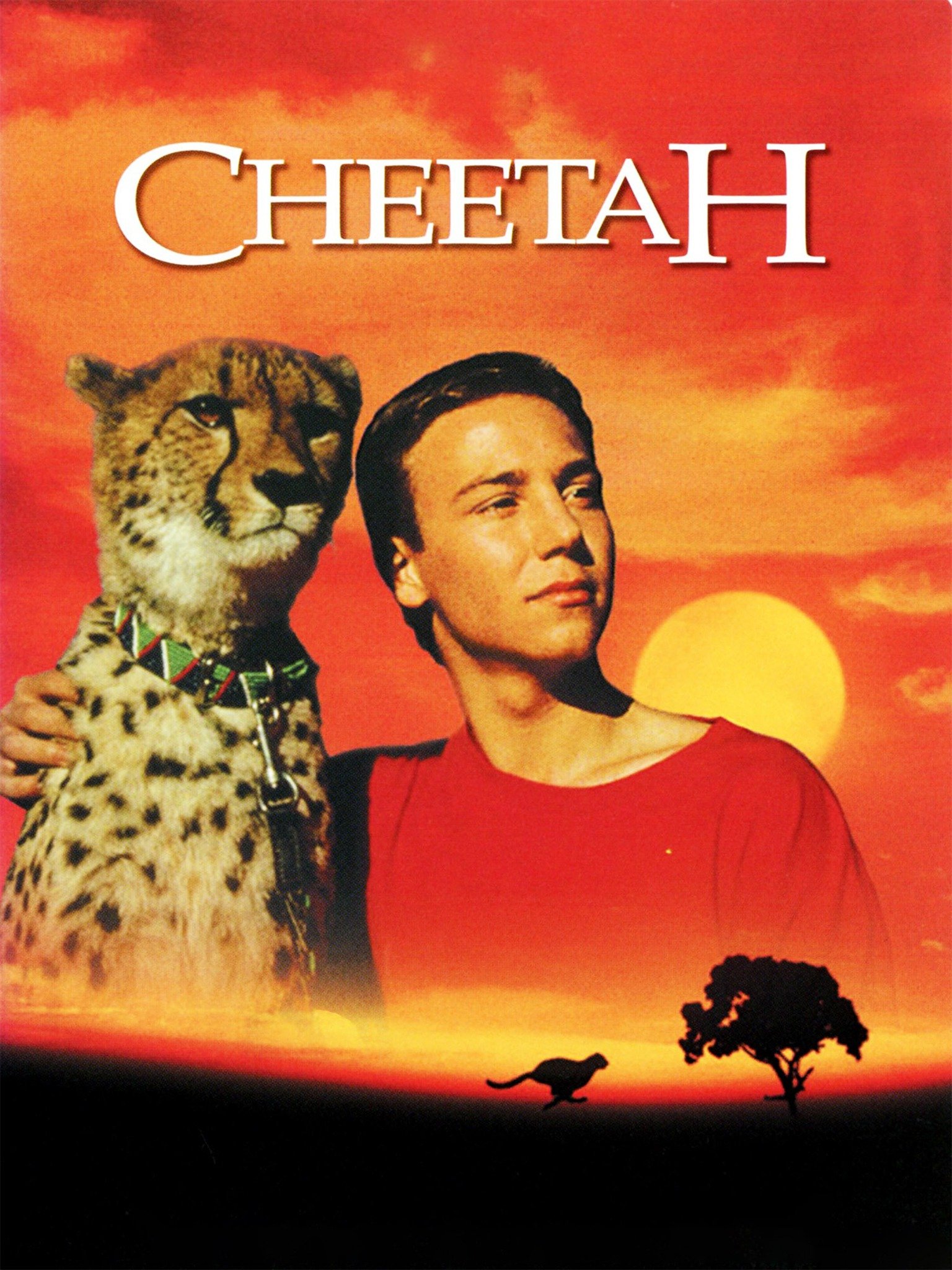Detail Gambar Cheetah Nomer 58