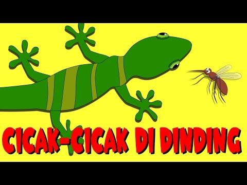 Detail Gambar Cicak Cicak Kaartun Nomer 15