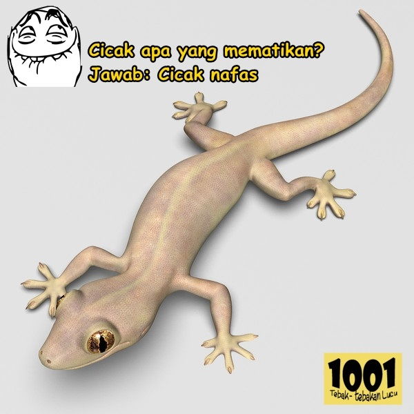 Detail Gambar Cicak Cicak Kaartun Nomer 40