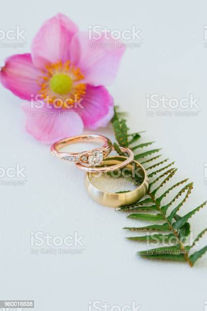 Detail Gambar Cincin Pernikahan Dan Bunga Nomer 41