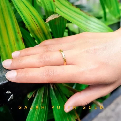 Detail Gambar Cincin Pipa Nomer 51