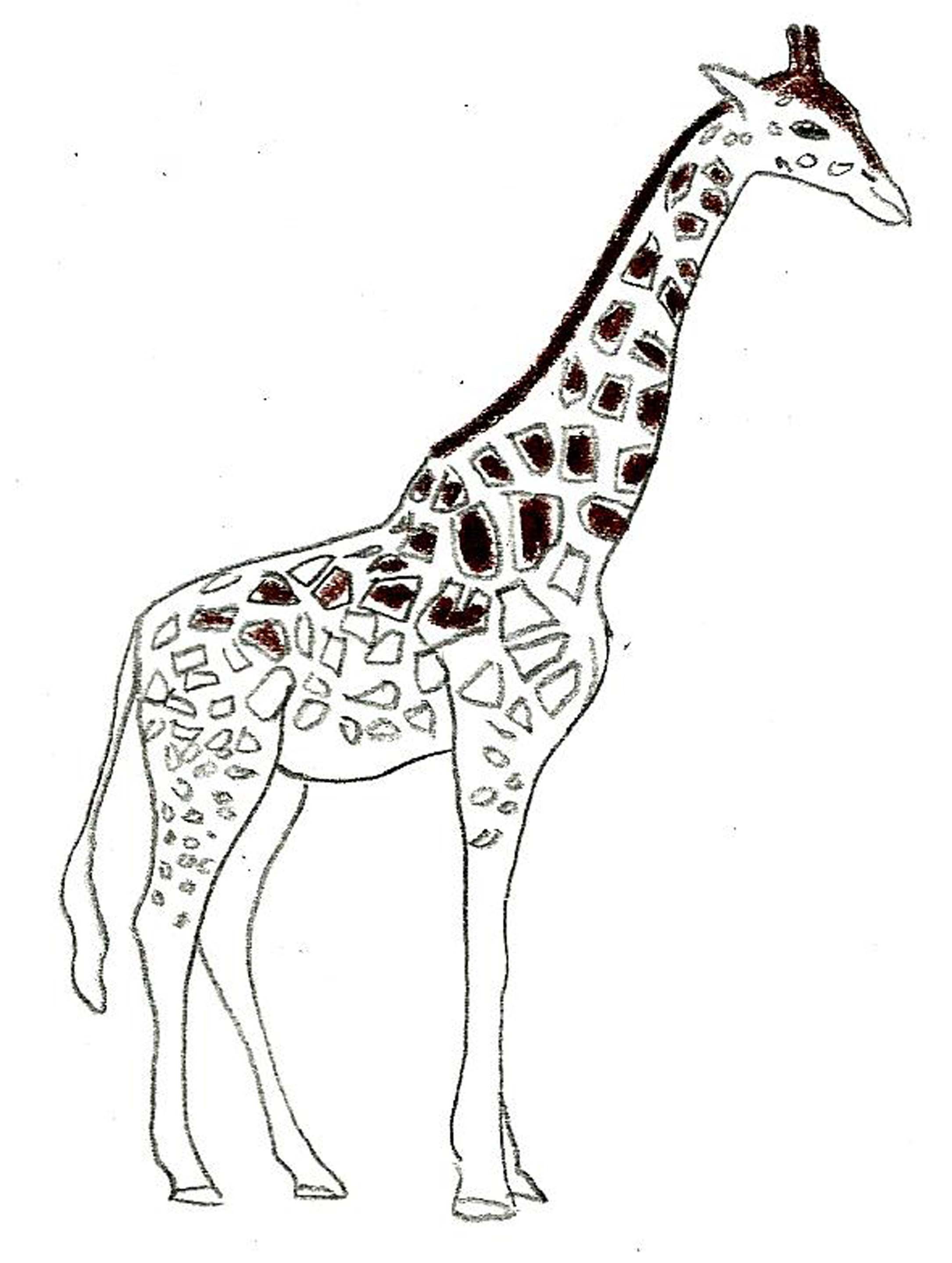 Detail Giraffe Kopf Zeichnen Einfach Koleksi Nomer 10