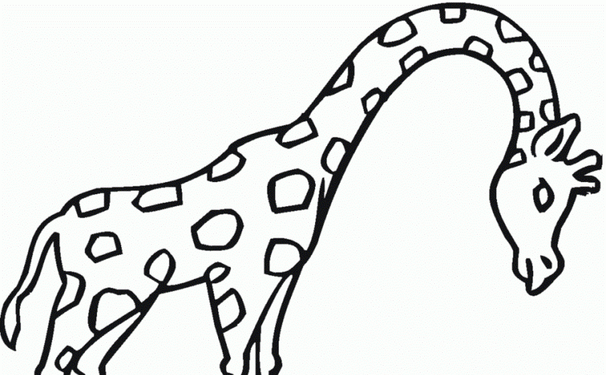 Giraffe Kopf Zeichnen Einfach 25+ Koleksi Gambar