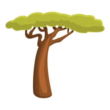 Detail Morondava Baobab Nomer 21