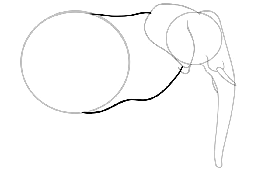Detail Elefant Mit 2 Beinen Nomer 21