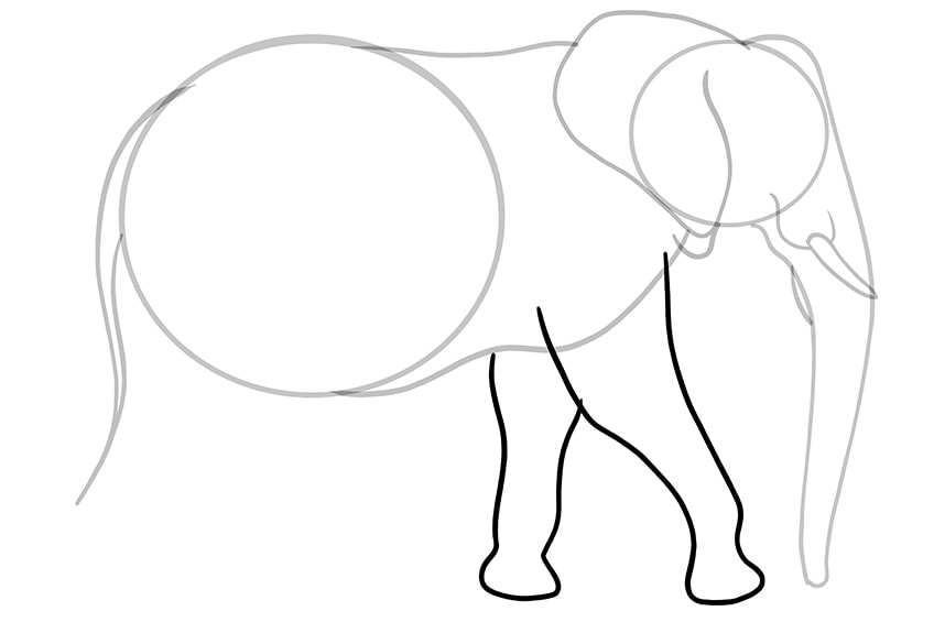 Detail Elefant Mit 2 Beinen Nomer 5