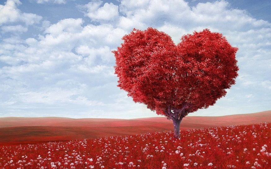 Detail Gambar Cinta Yang Romantis Nomer 15