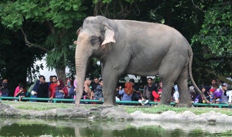 Detail Gambar Ciptaan Allah Yang Ada Di Langit N Bumi Nomer 49