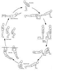 Detail Gambar Circuit Training Nomer 4