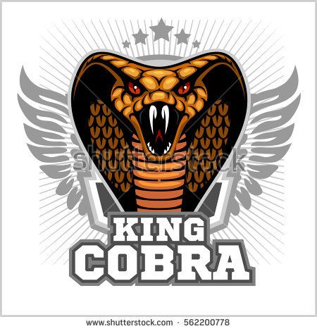 Detail Gambar Cobra Keren Nomer 6