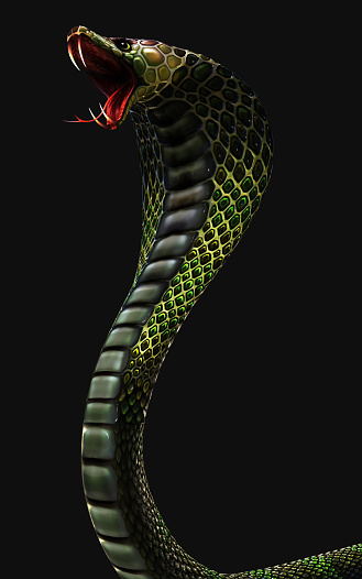 Detail Gambar Cobra Keren Nomer 9